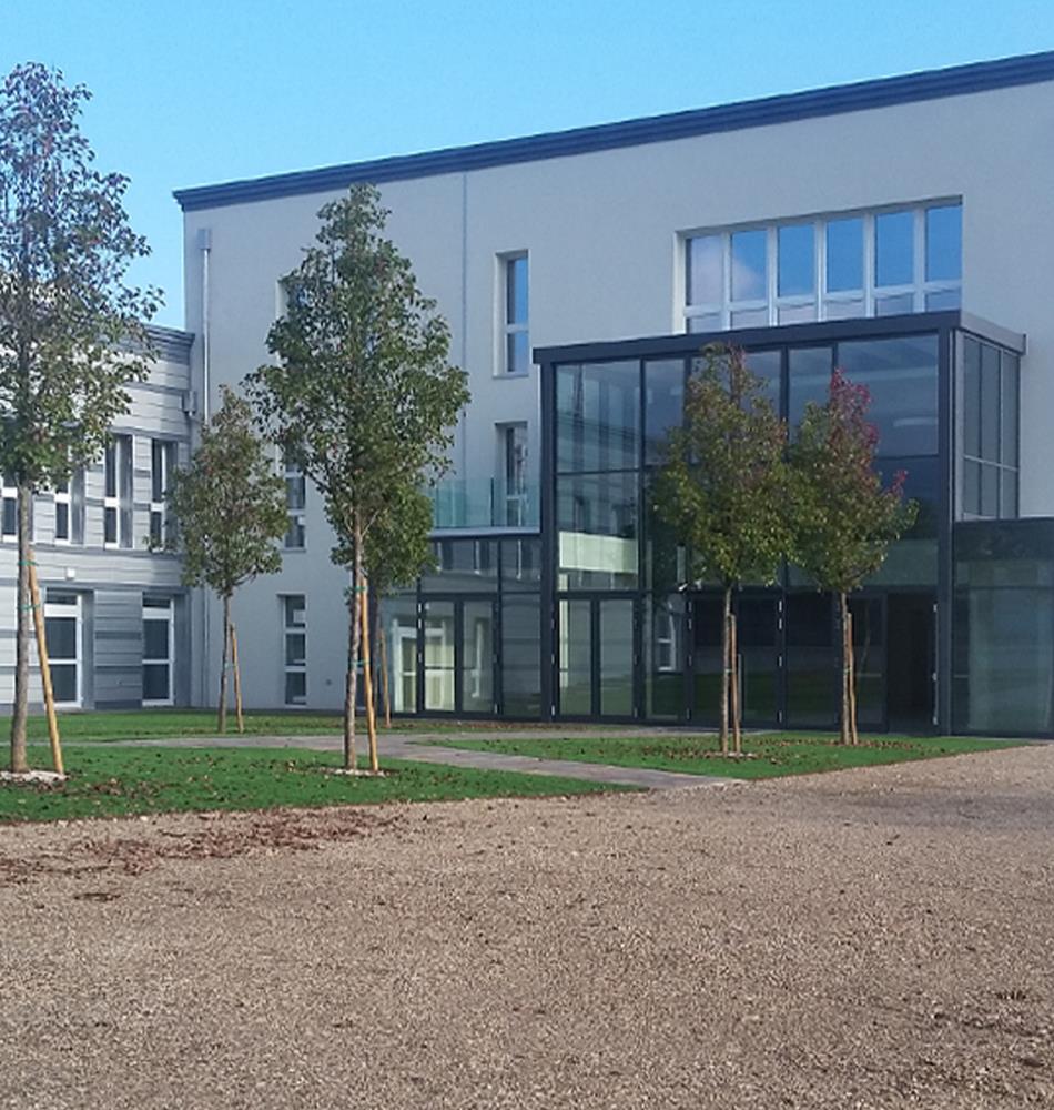  Scuola primaria R.Rigotti